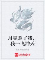 月亮惹的禍的歌詞