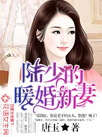 陸少的暖婚新妻全文免費