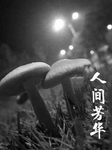 人間芳菲的意思