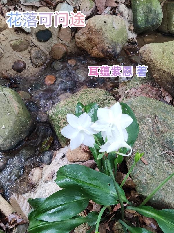 花落知道