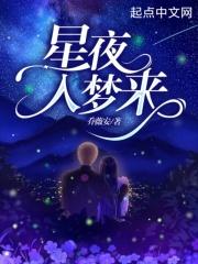 一夜星河入夢來