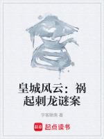 皇城風雲：禍起刺龍謎案