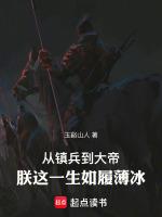 從鎮兵到大帝，朕這一生如履薄冰